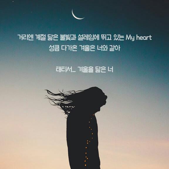 추가의기작 프로필