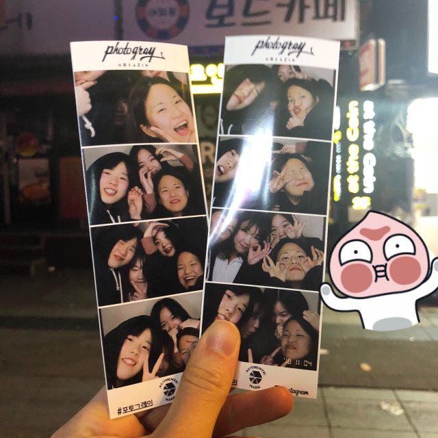 봄봄이왔다 프로필