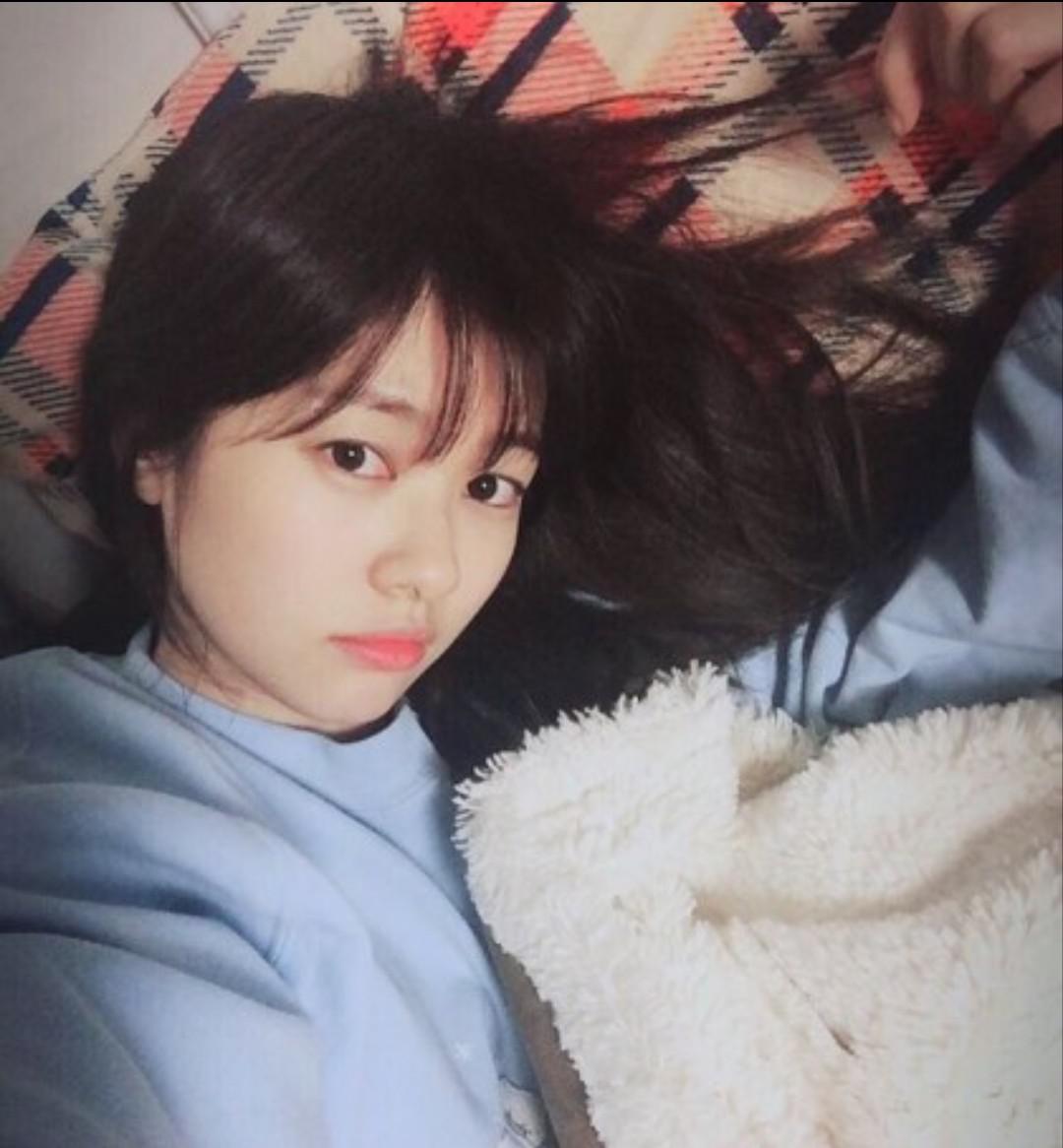 초록이쁘니 프로필