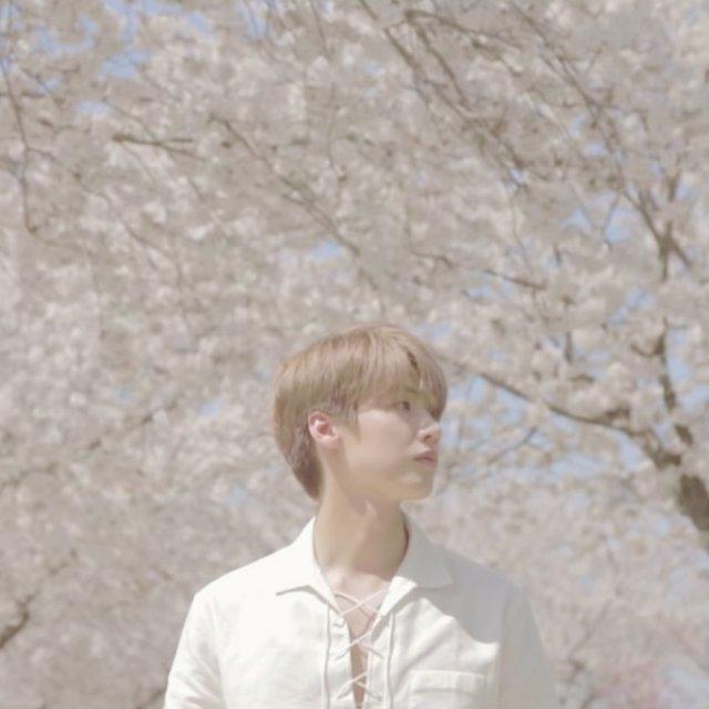 다봉J 프로필
