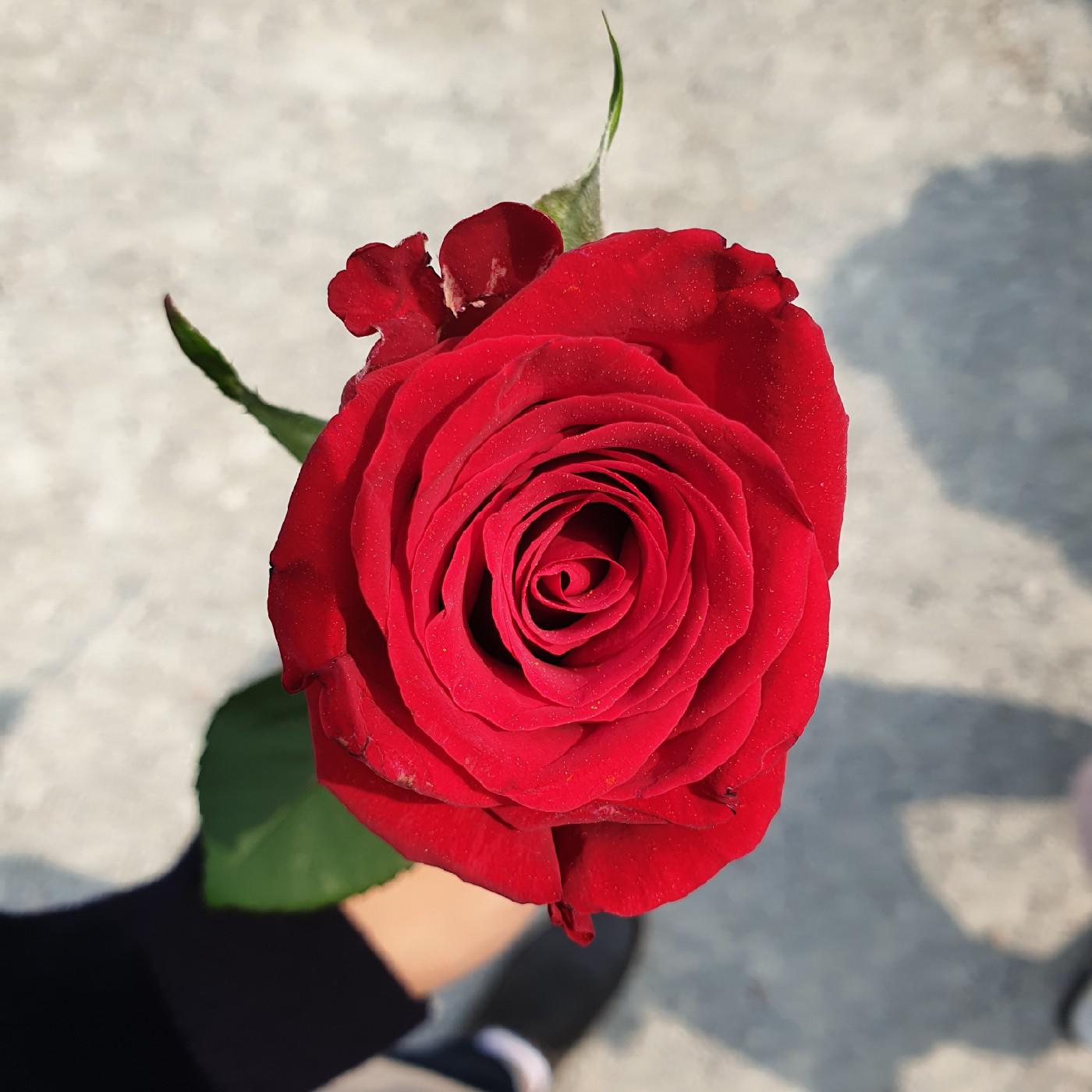 겸겸님 프로필
