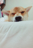 히준