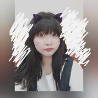 달로공 프로필