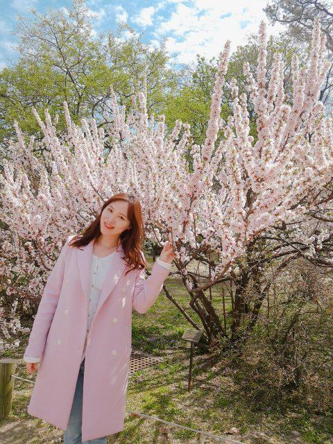 양옹이 프로필