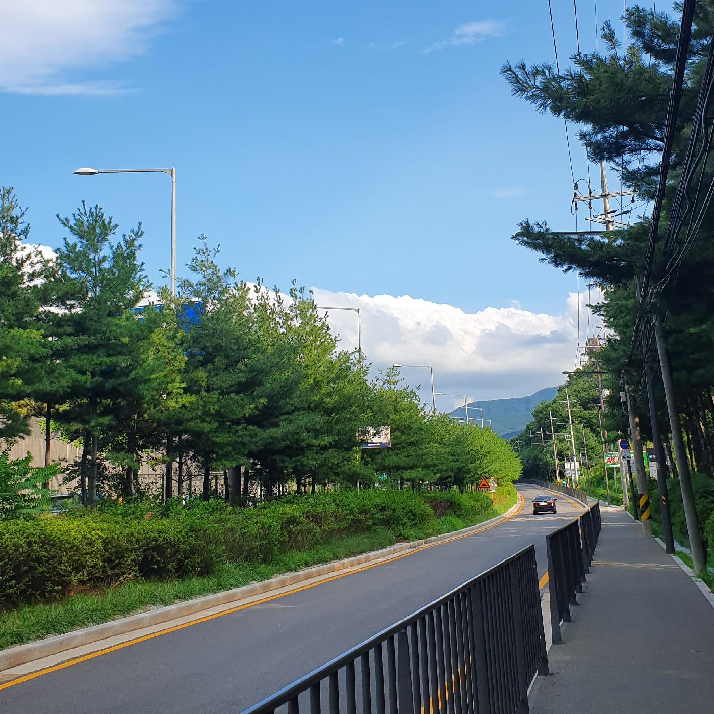 찡짜이 프로필