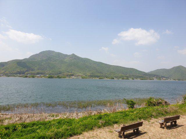 nyang43 프로필
