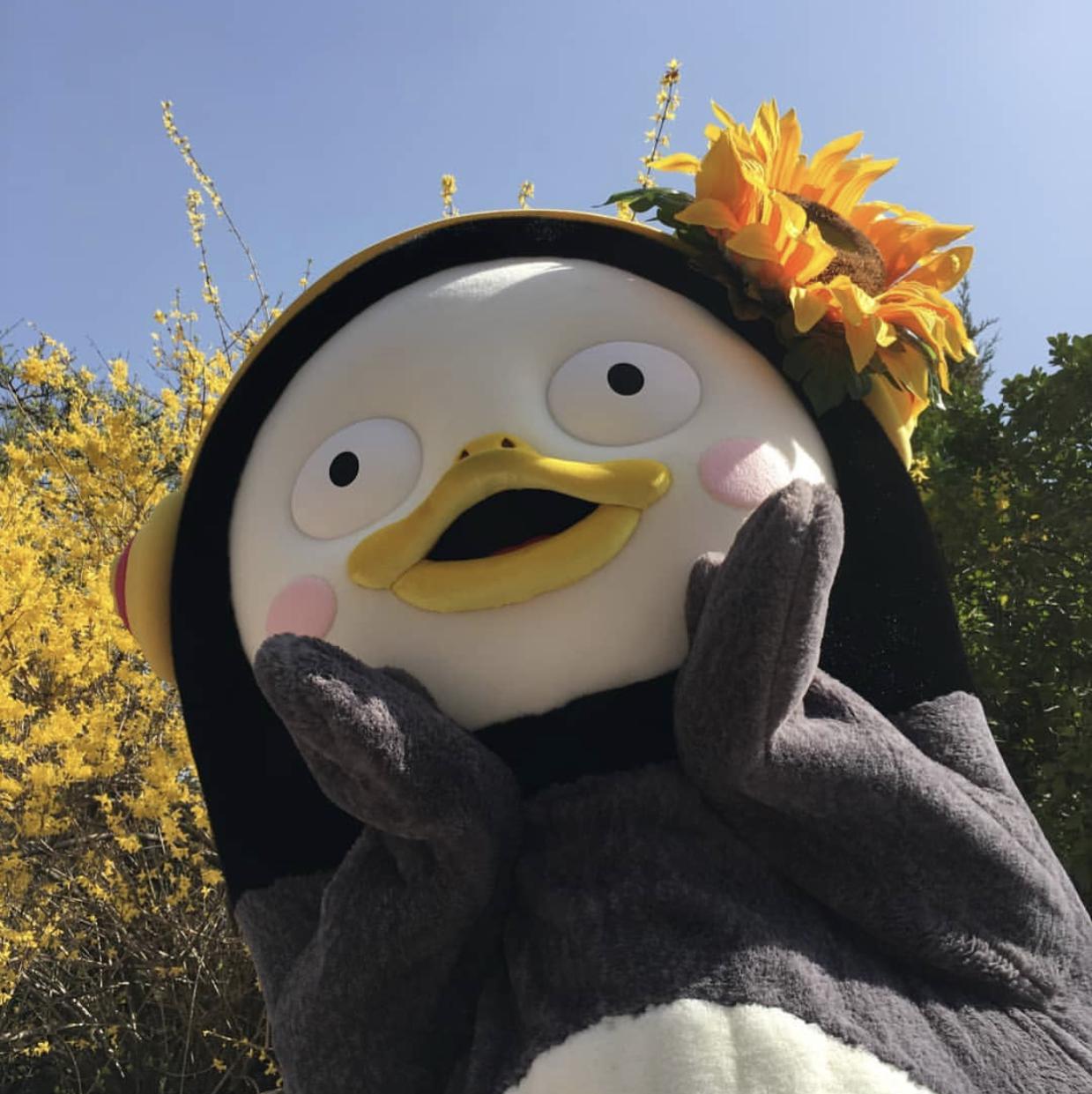 시으니다퓽퓽 프로필