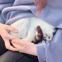 shjyj1003 프로필
