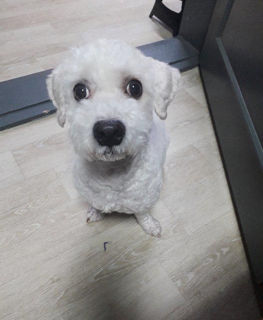 배뚀 프로필