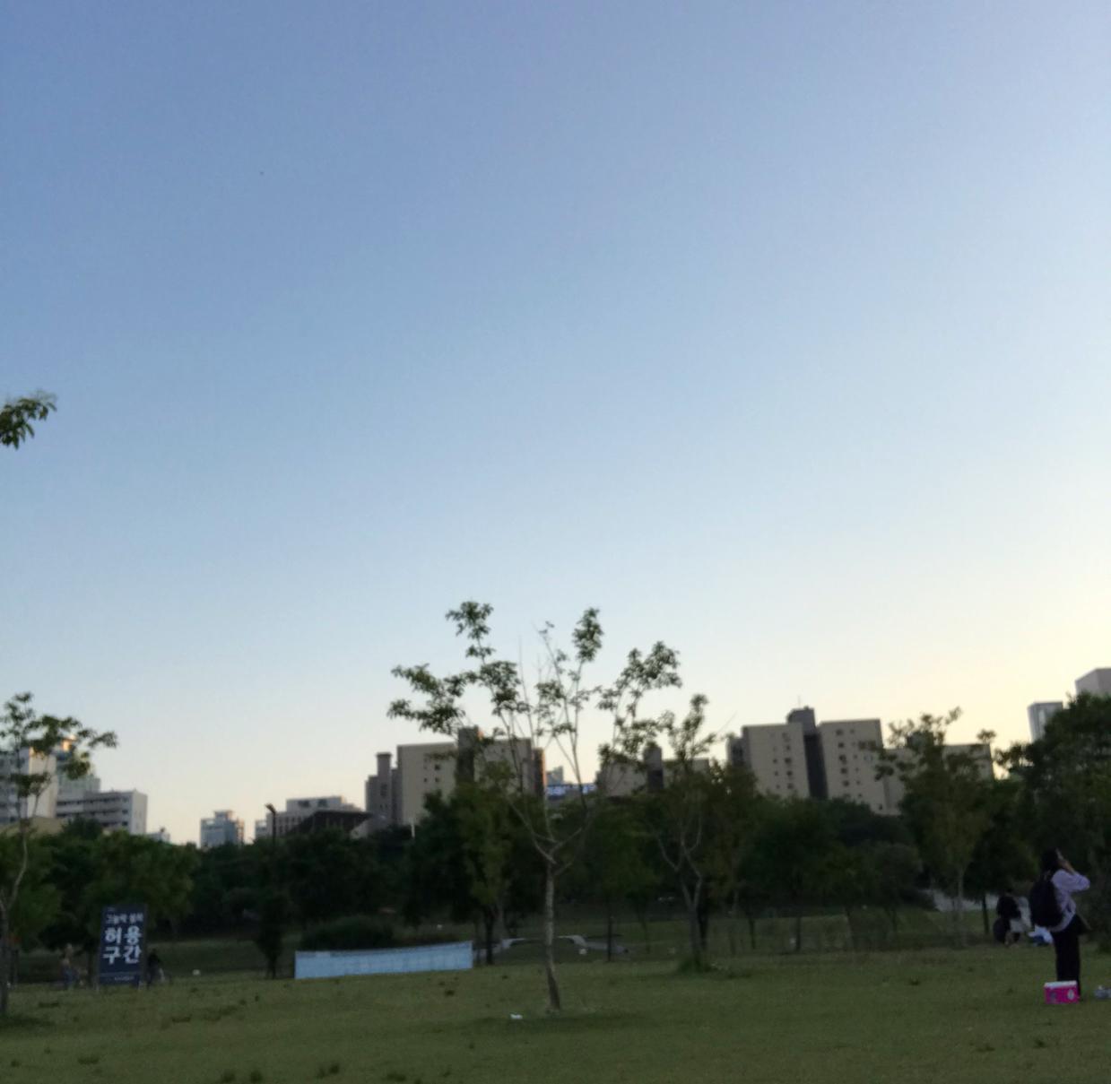 향eee 프로필