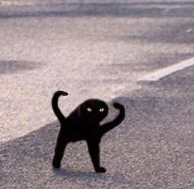 vlioxvxe 프로필