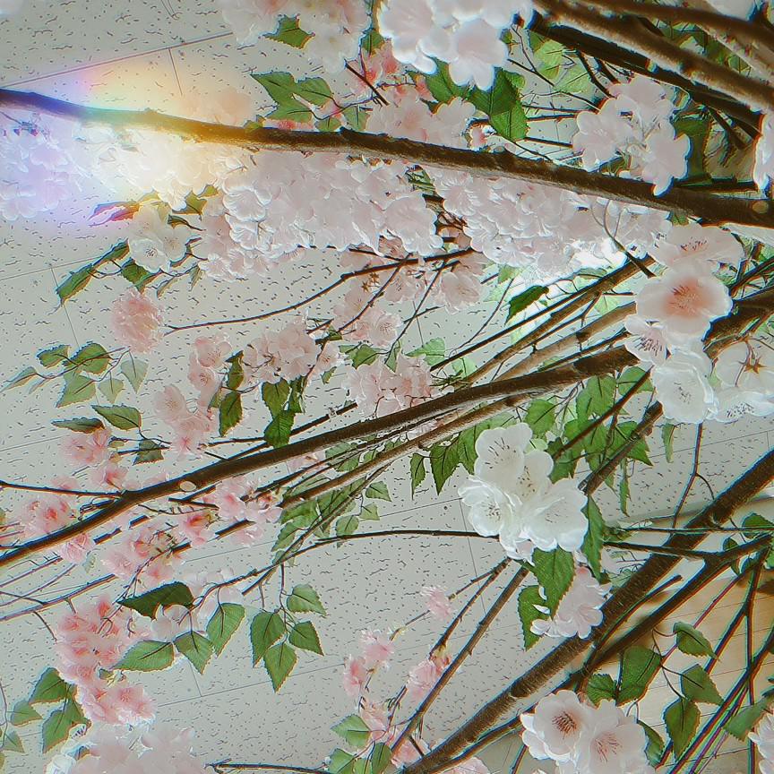 soso07 프로필
