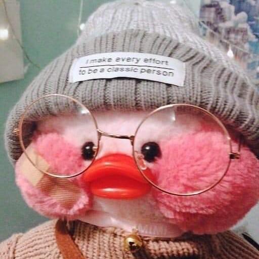 친절한후추씌 프로필