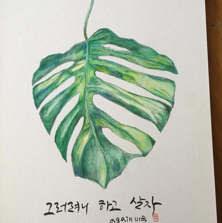 미숙잉 프로필