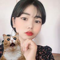 hphu 프로필