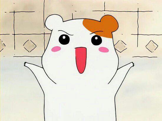 리뷰어 프로필