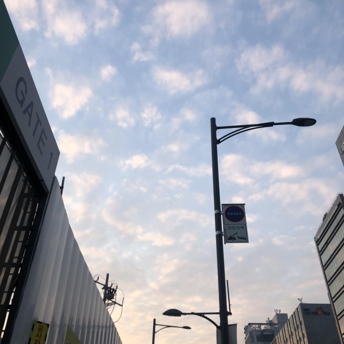 고양이슬리퍼 프로필