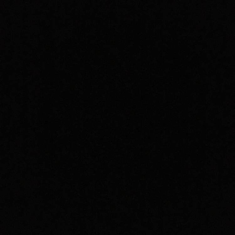 공룡낙타김첸 프로필