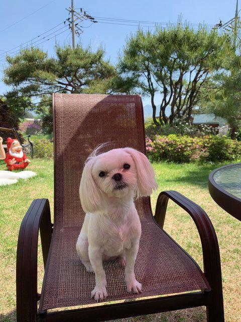 땡잡이 프로필