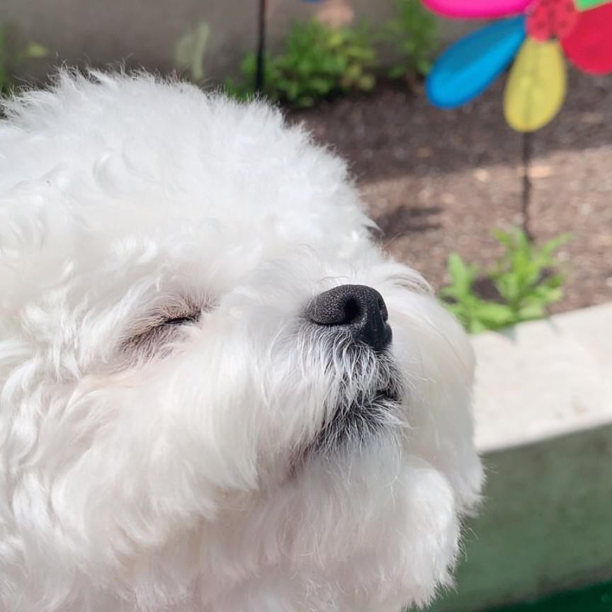리뷰어 프로필