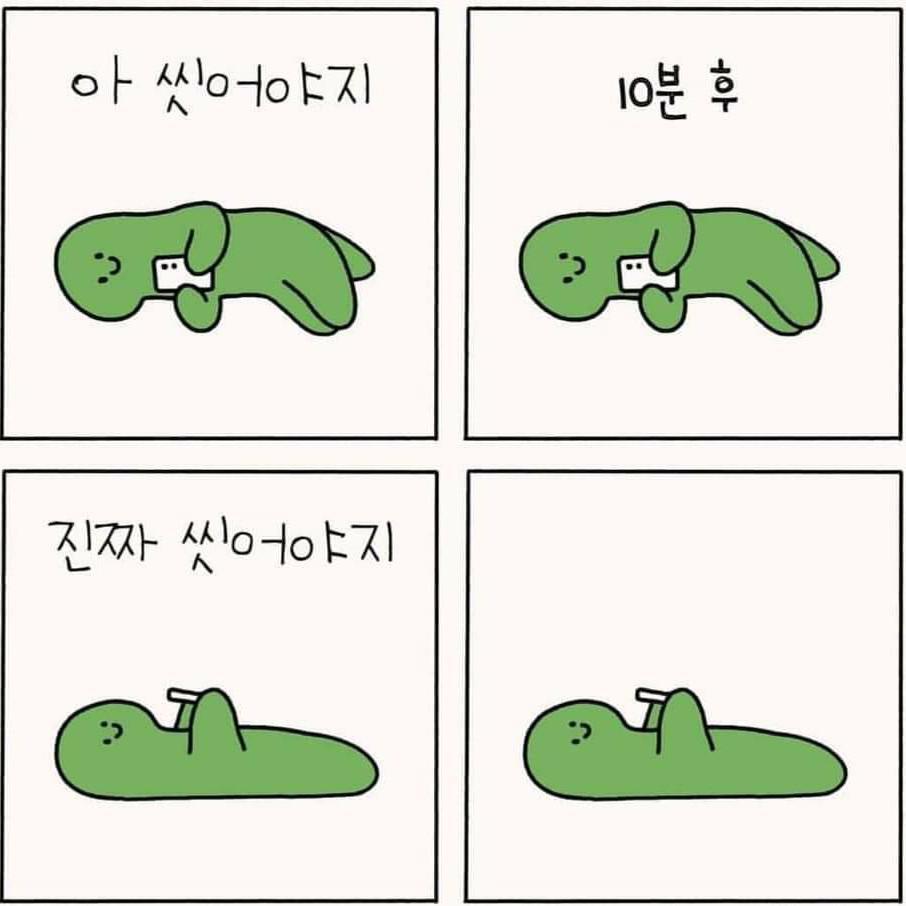마루마루코 프로필
