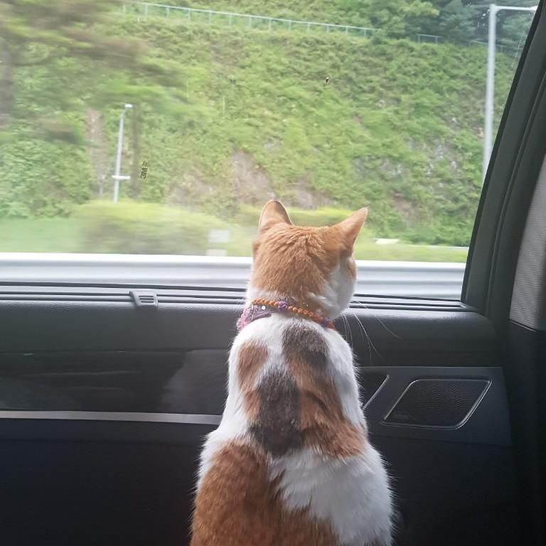 꼼지락님 프로필