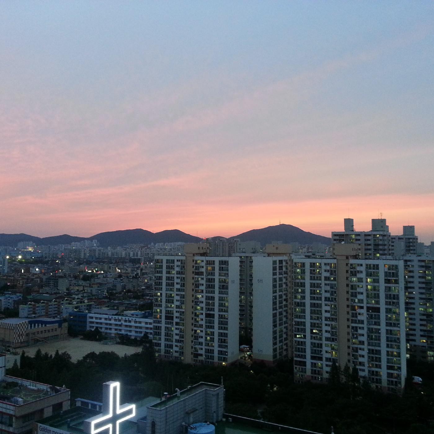 여니꼬야 프로필