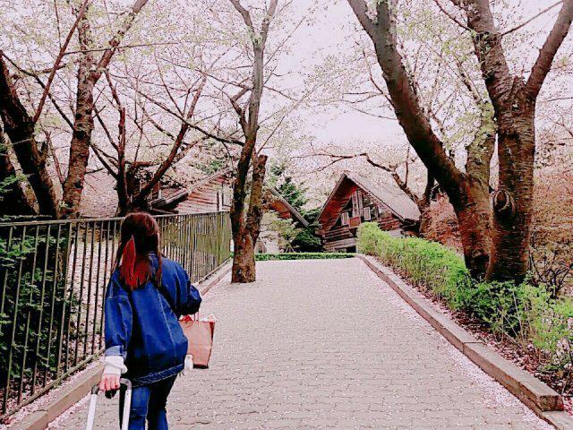 [박나영] 프로필