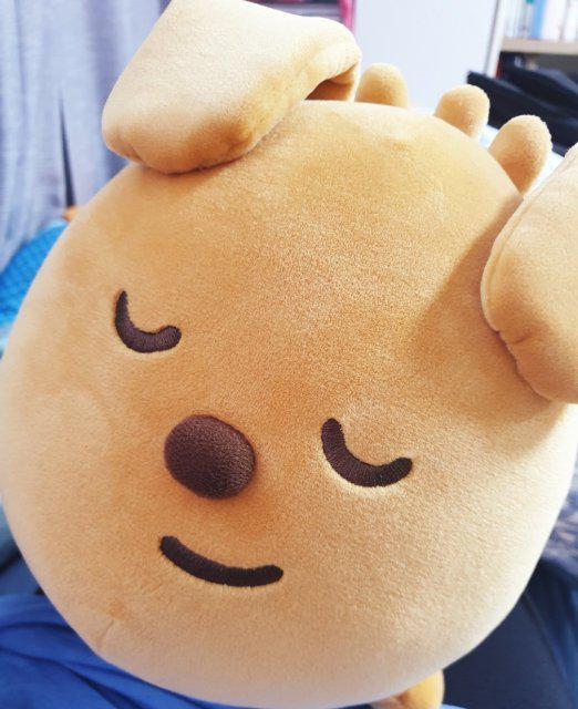 판타스틱아보카도 프로필