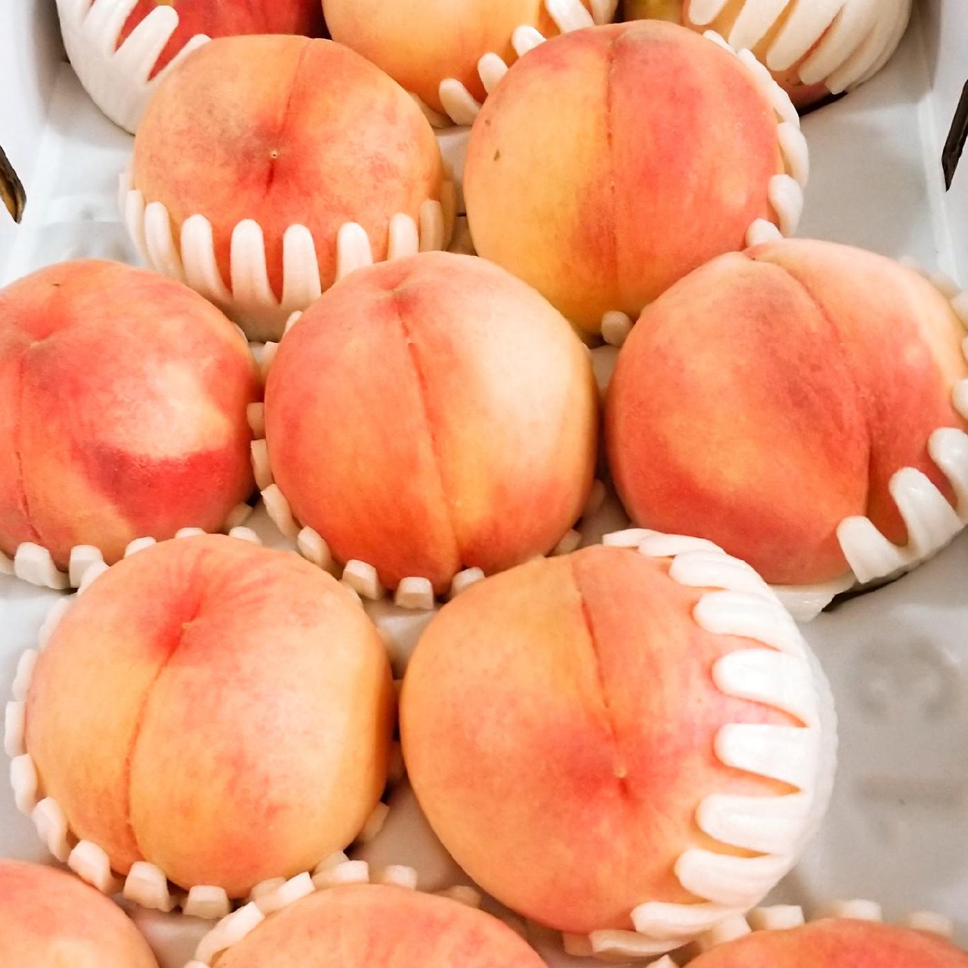 리뷰어 프로필