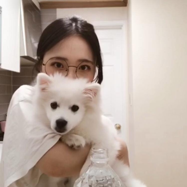 리뷰어 프로필