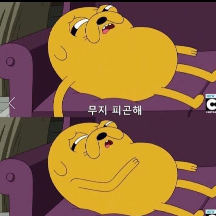 vividivavi 프로필
