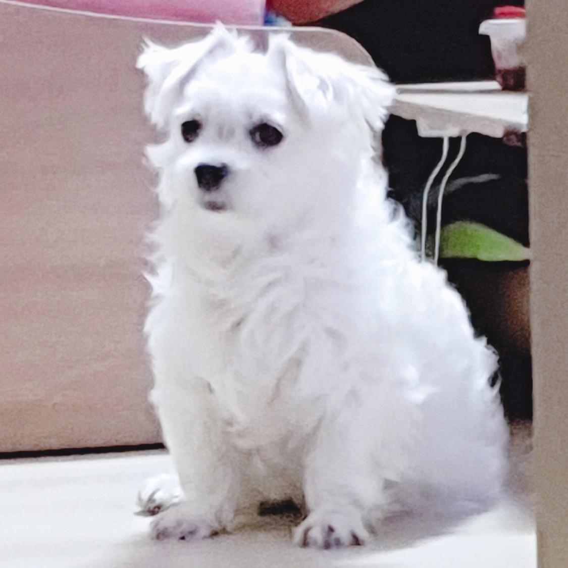 가나다라요 프로필