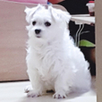 가나다라요
