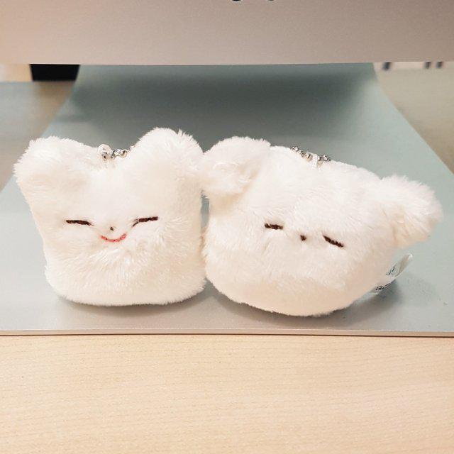 감자테토 프로필