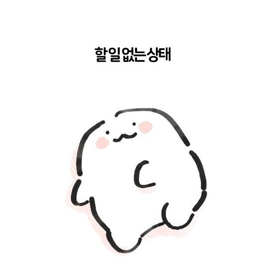 쑹쑹너구리 프로필