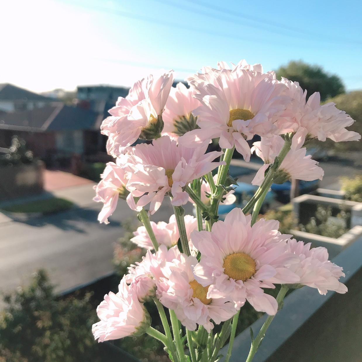 포도미 프로필