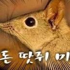 스푸쿠 프로필