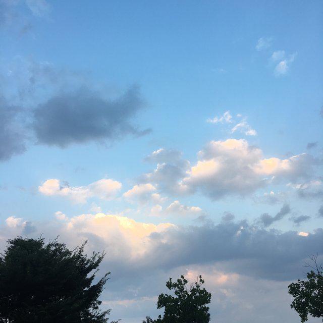 bokyoung05 프로필