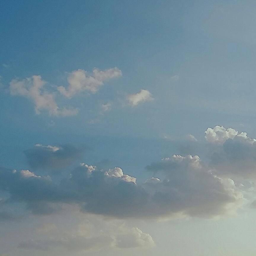 삐치피치 프로필