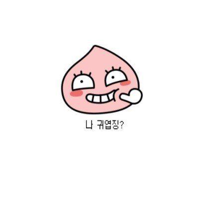 소틀러 프로필