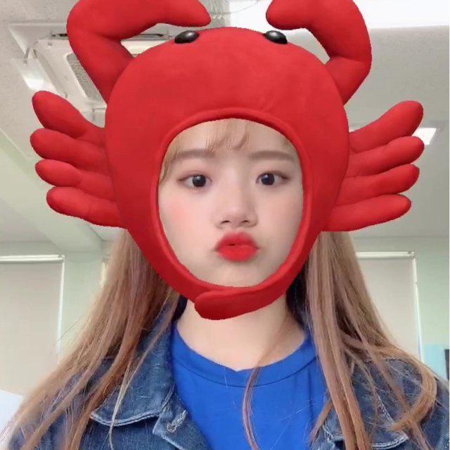 예솔라시도레 프로필