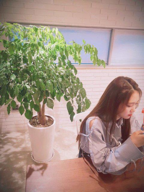 뇽안해용 프로필