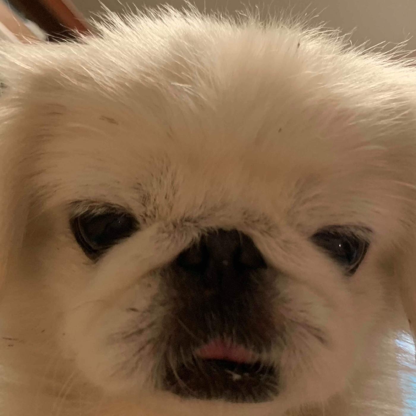 Q0 프로필
