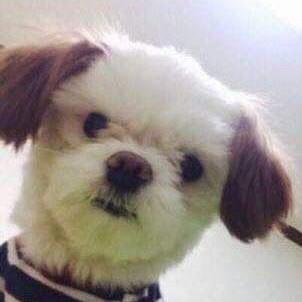 강원경 프로필
