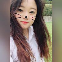 고순정 프로필