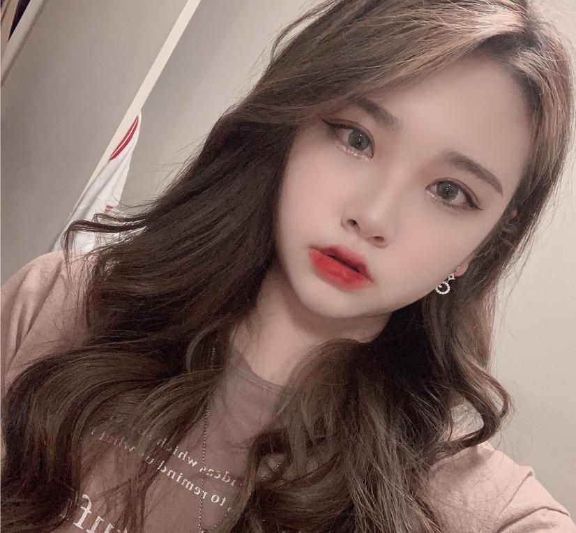 티라노공룡 프로필