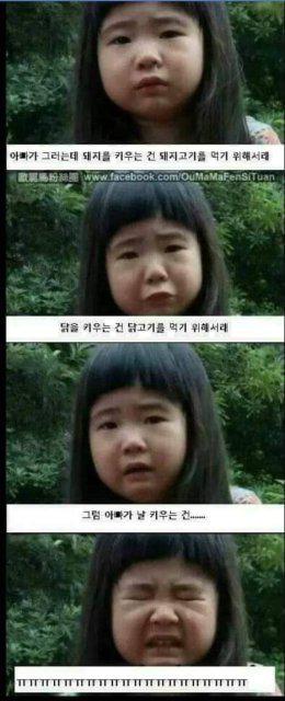 예씌' 프로필