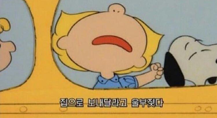 포팡 프로필