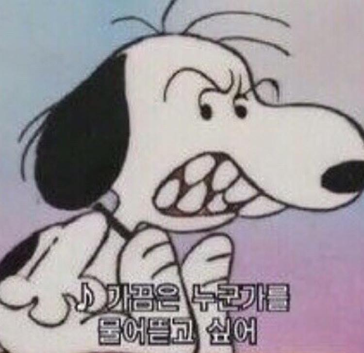 귤데스 프로필